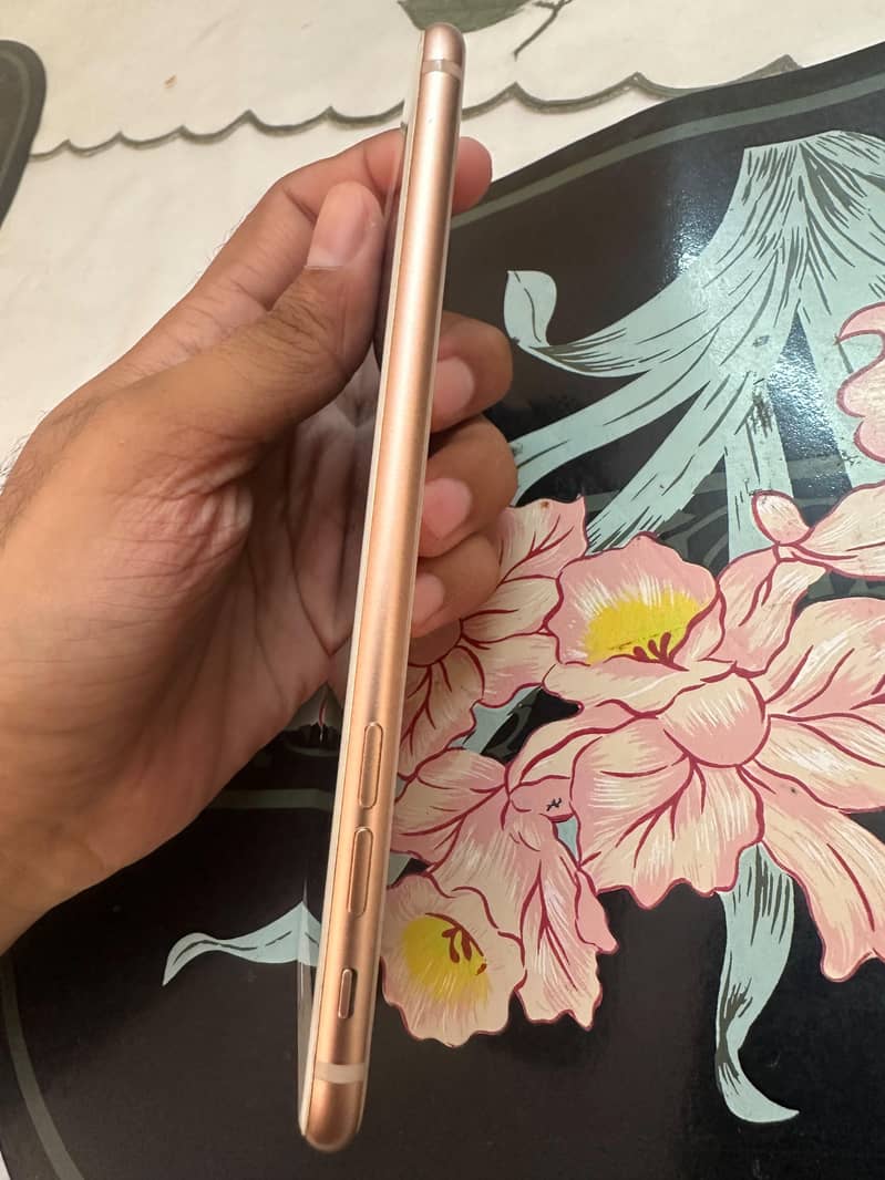 Apple iPhone 8 Plus 1