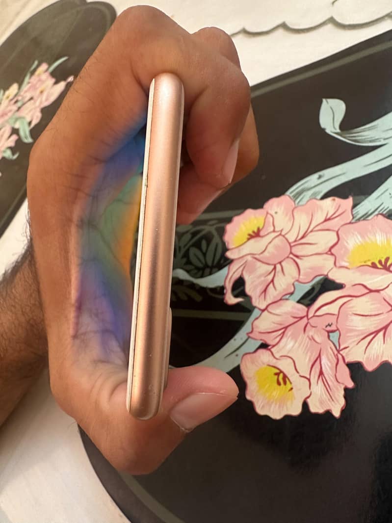 Apple iPhone 8 Plus 3
