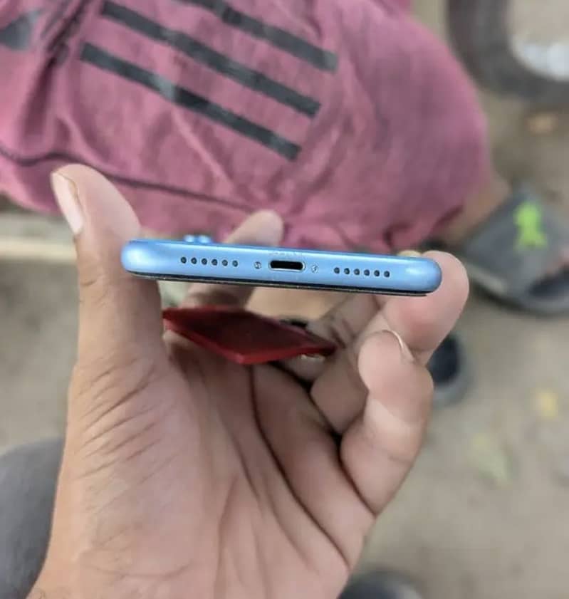 Apple iPhone XR 1