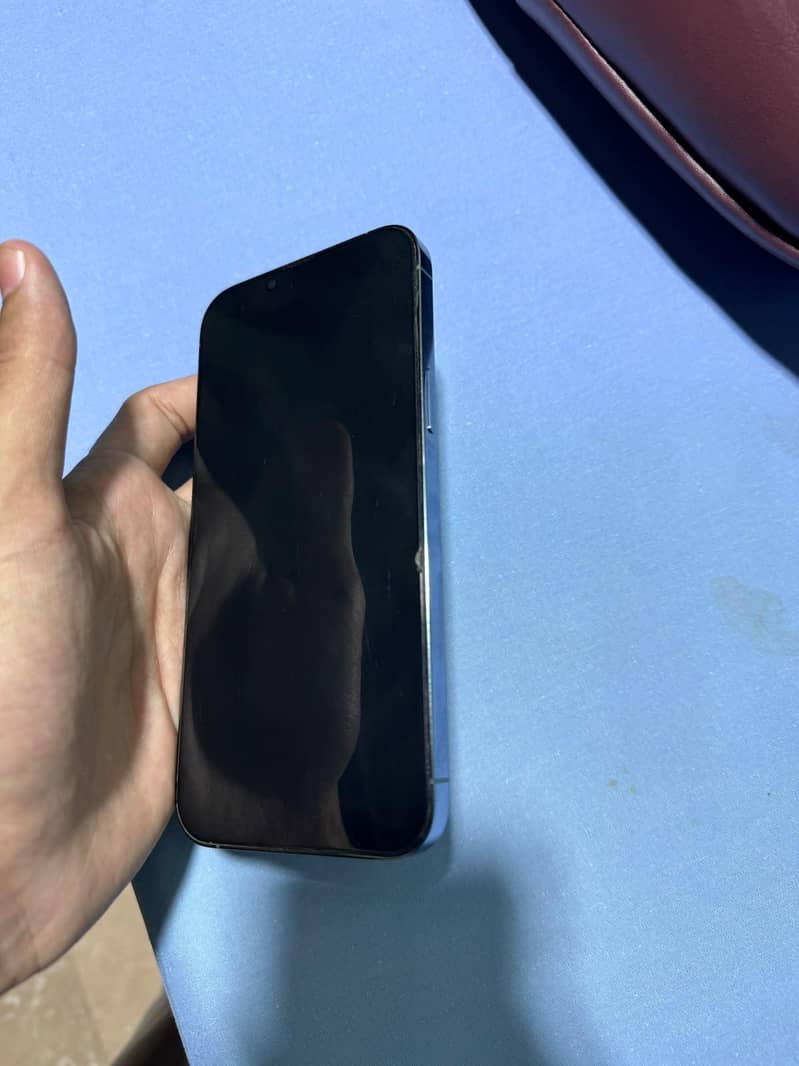 Apple iPhone 13 Pro Max 1