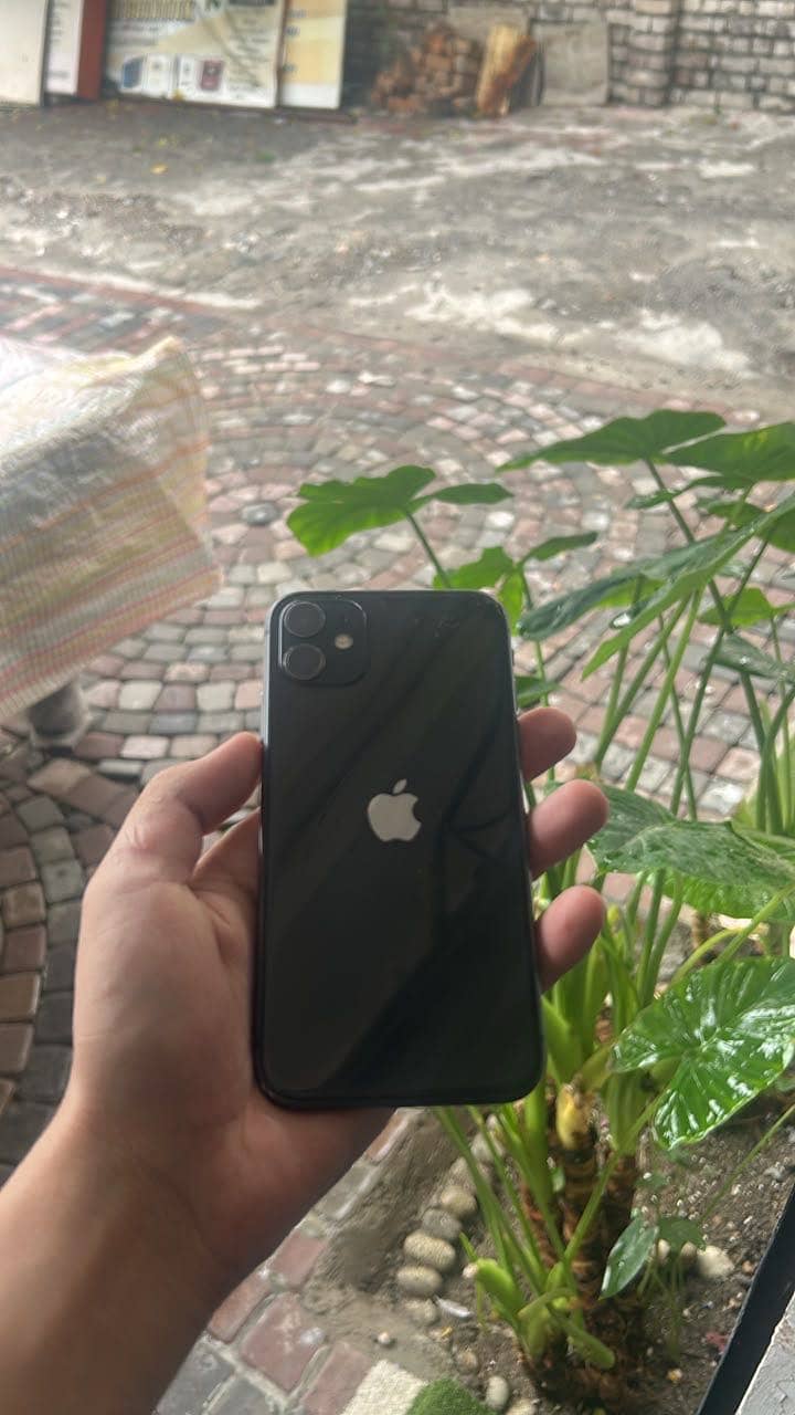 Apple iPhone 11 0