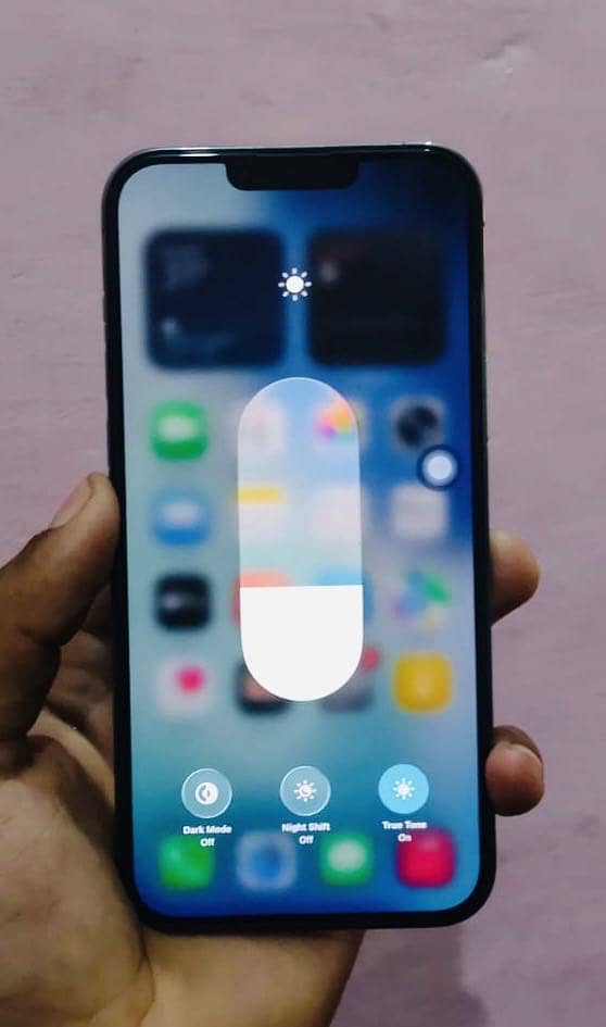 Apple iPhone 13 Pro Max 1
