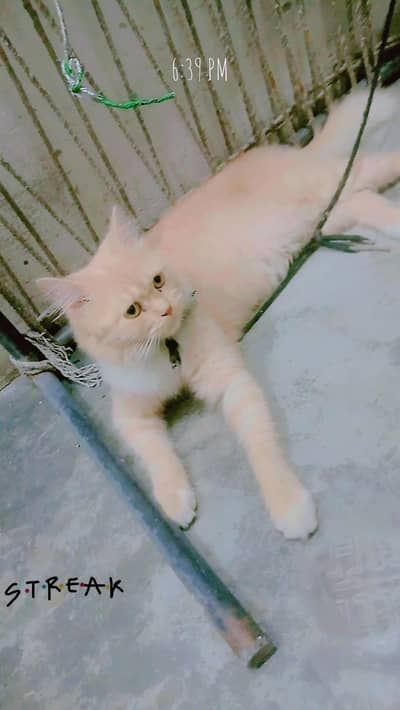 JAGA nahinhai