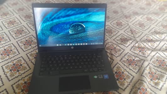 HP ChromeBook OS