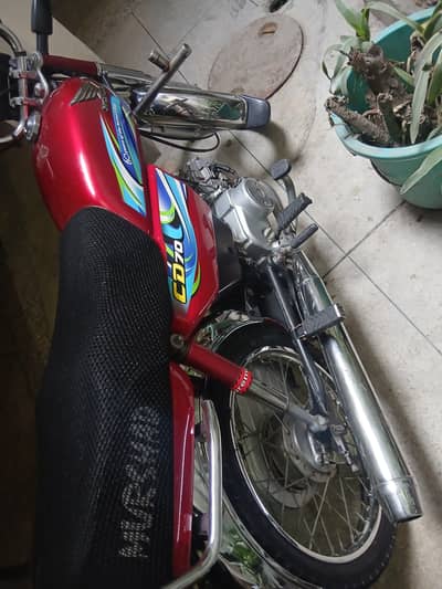 Honda CD 70 2024