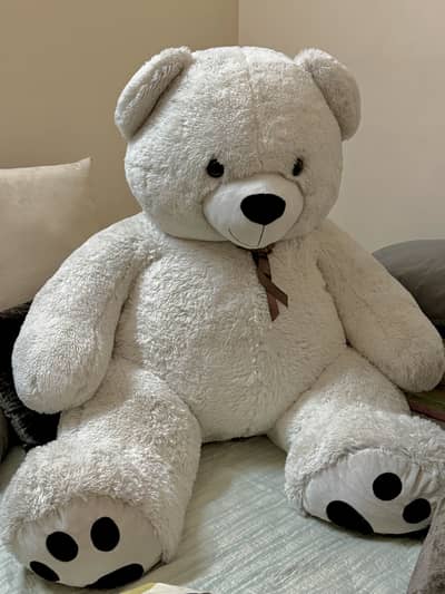6 feet and 5 feet Teddy Bear