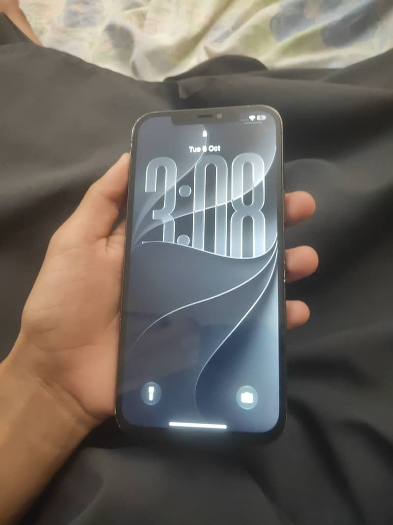 Apple iPhone 12 Pro Max 2