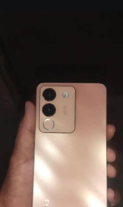 Vivo V29e