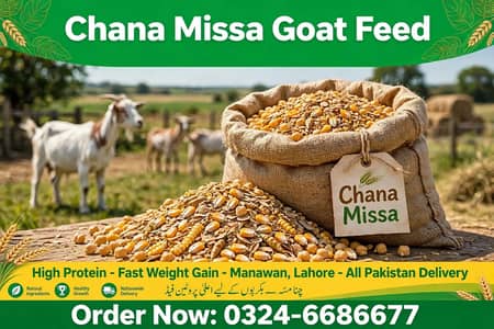 chana missa