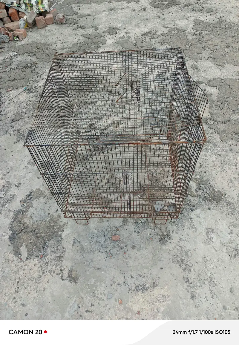 hens cage — photo 2