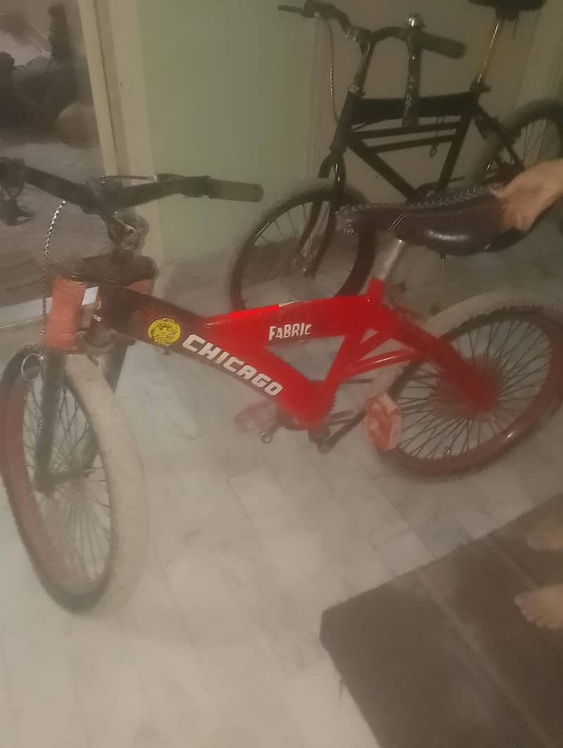 Chicago cycle 1