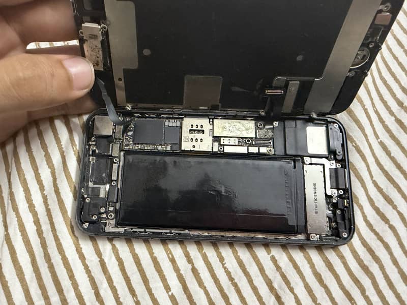 Apple iPhone SE 5