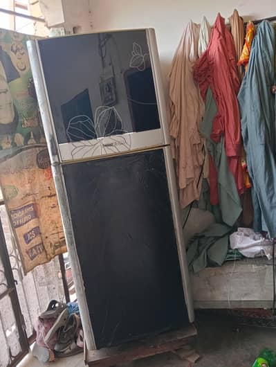 fridge for sail everything is ok