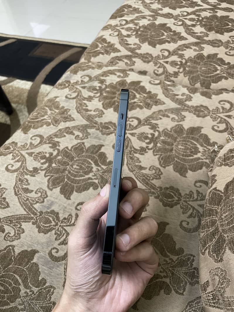 Apple iPhone 12 Pro Max 1