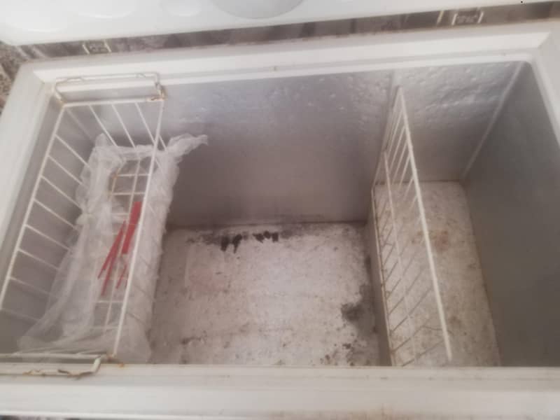 white freezer 1