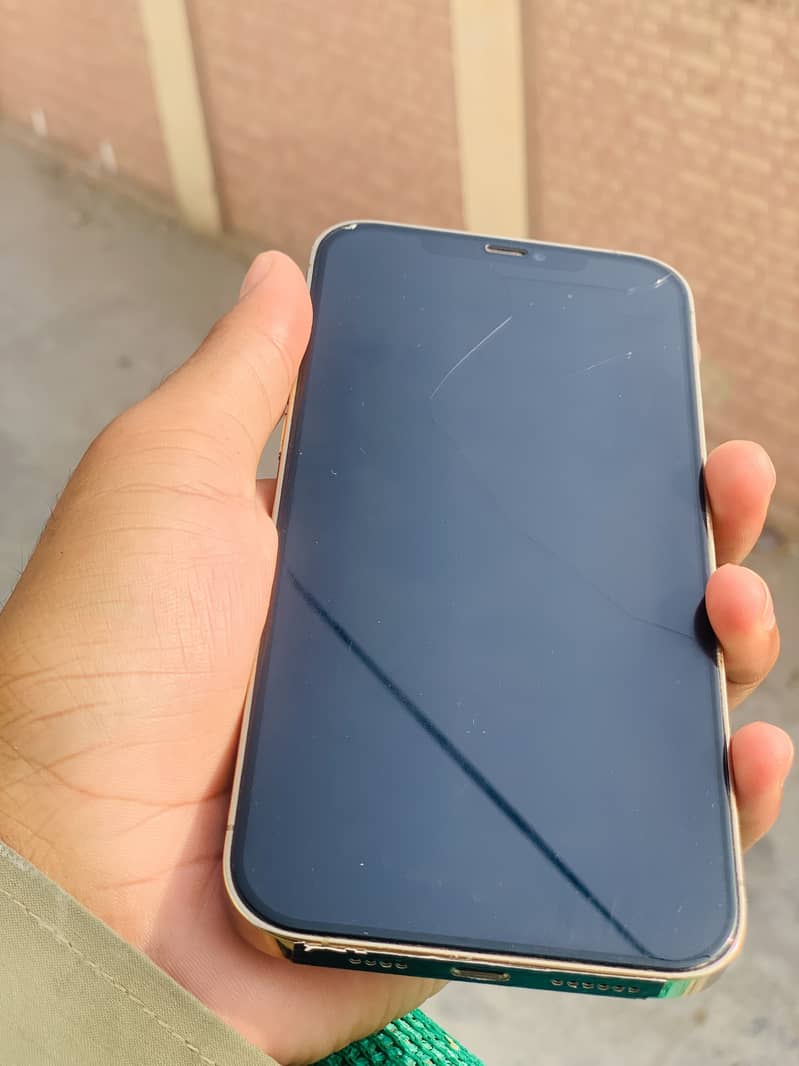 Apple iPhone 12 Pro Max 1