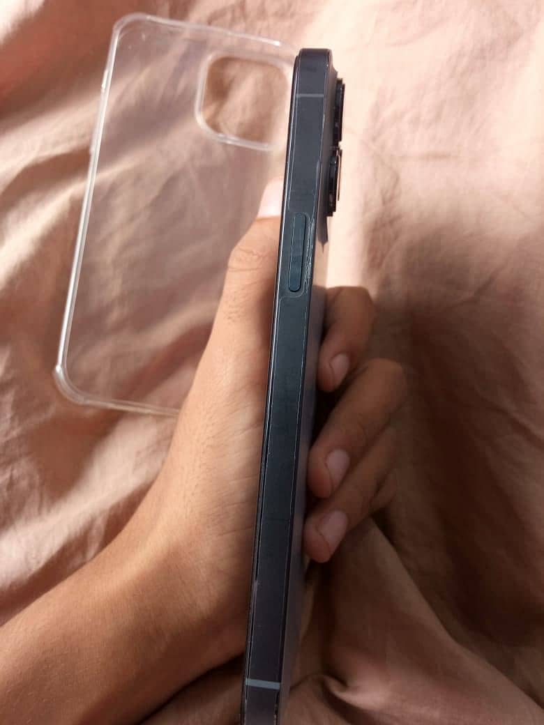 Apple iPhone 13 Pro Max 1