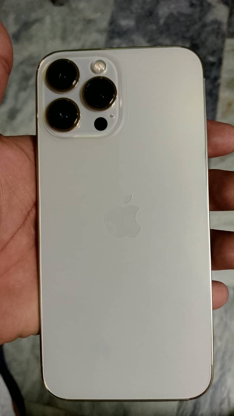 Apple iPhone 13 Pro Max 1