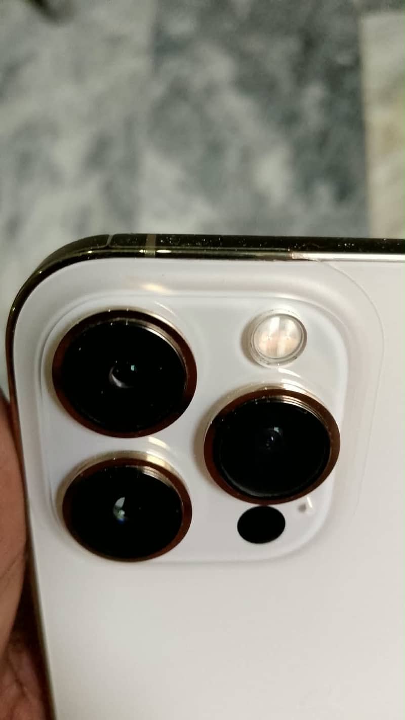 Apple iPhone 13 Pro Max 3