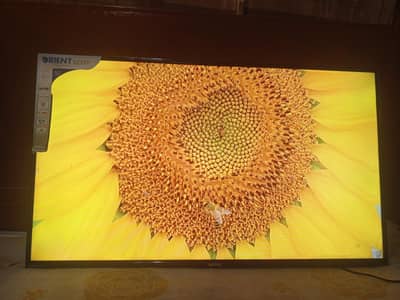 ORIENT 50"