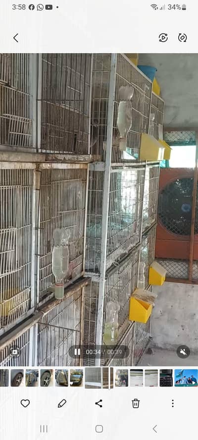 iron cage with tray