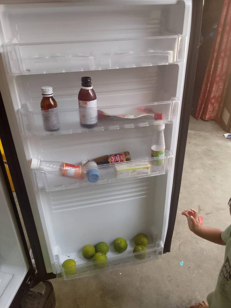 Pel Refrigerator 2
