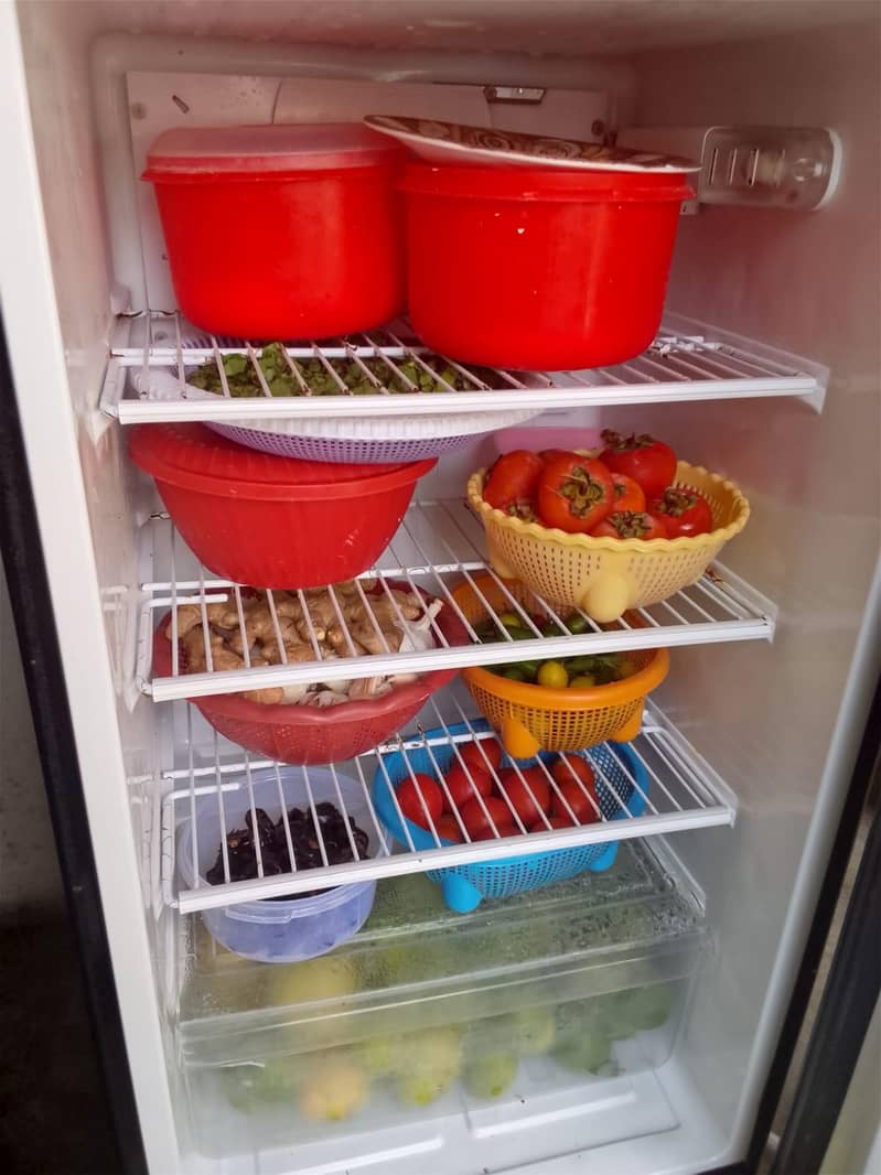 Pel Refrigerator 3