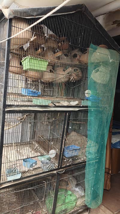 Heavy Cage