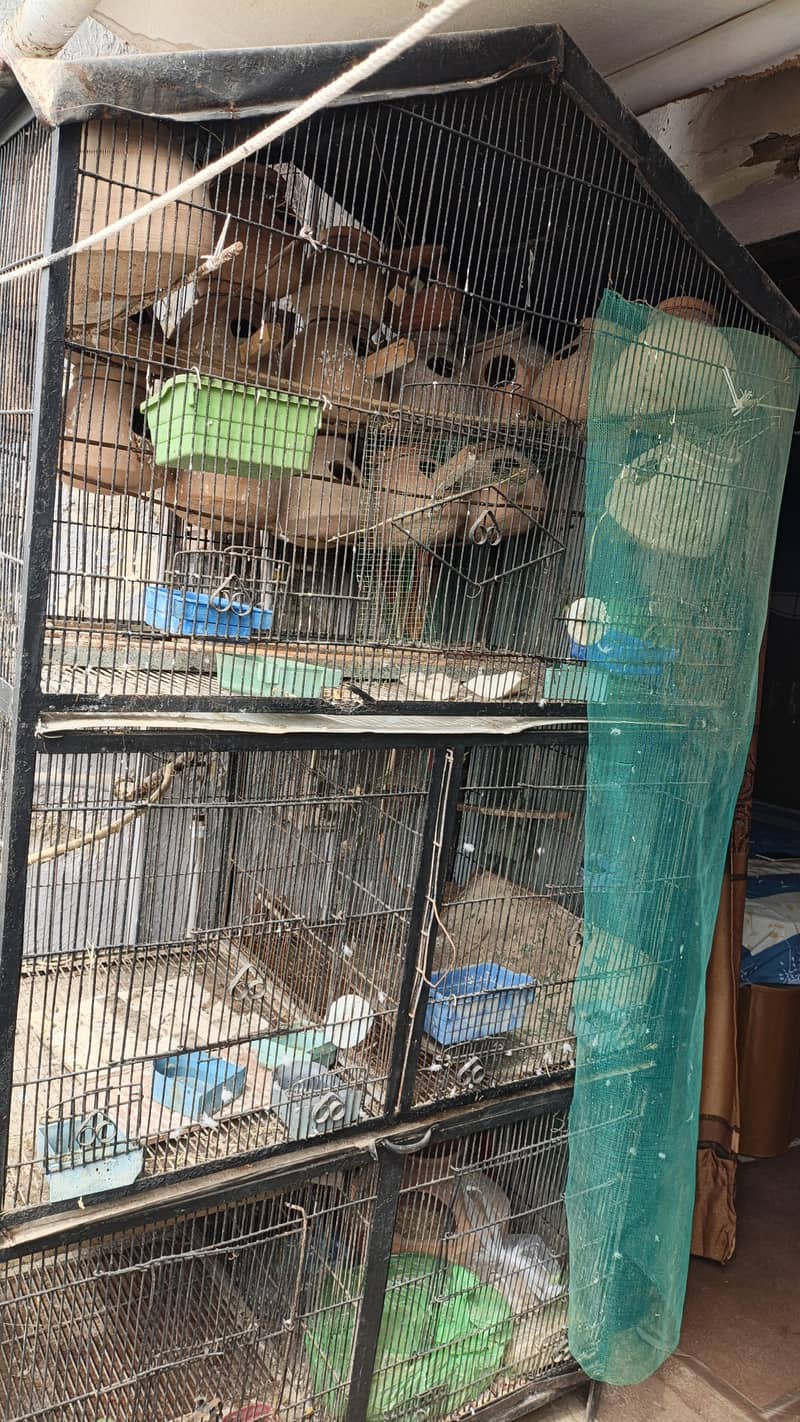 Heavy Cage 0