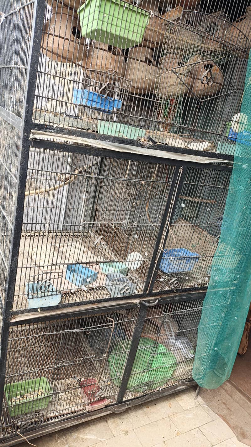 Heavy Cage 2