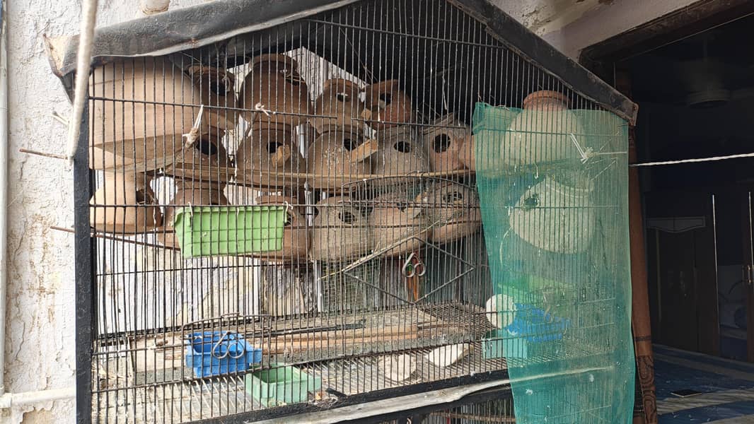Heavy Cage 3