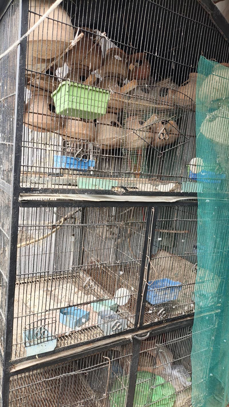 Heavy Cage 5