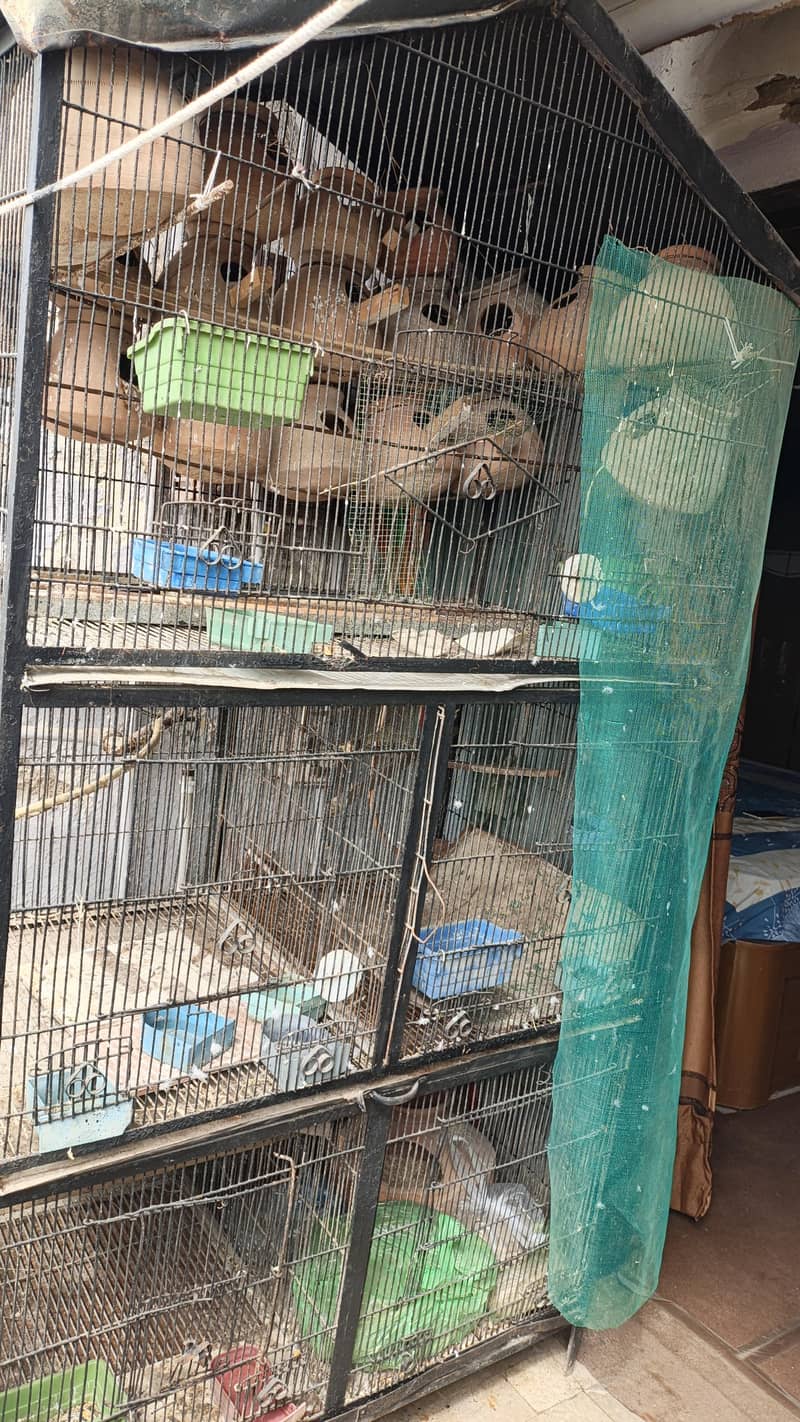 Heavy Cage 6