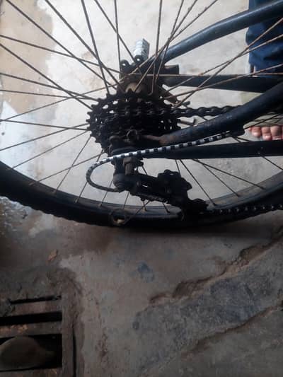 bicycle