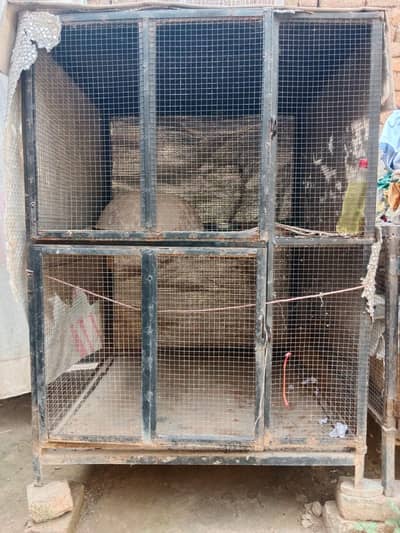 2 cages
