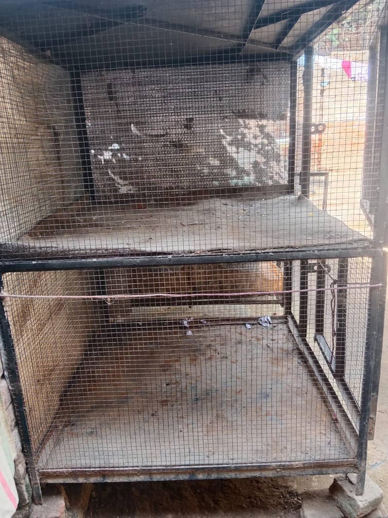 2 cages 1