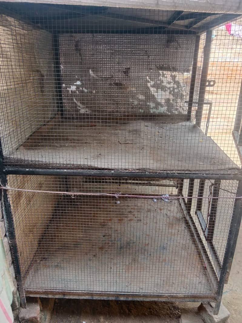 2 cages 2