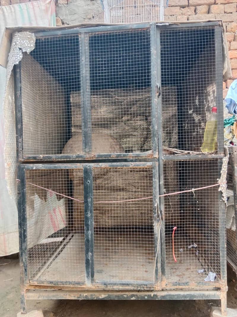 2 cages 3