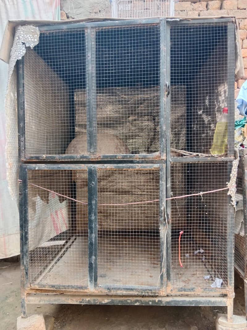 2 cages 4