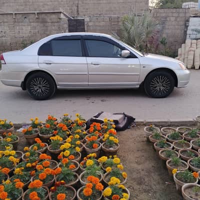 Honda Civic VTi Oriel Prosmatec 2001