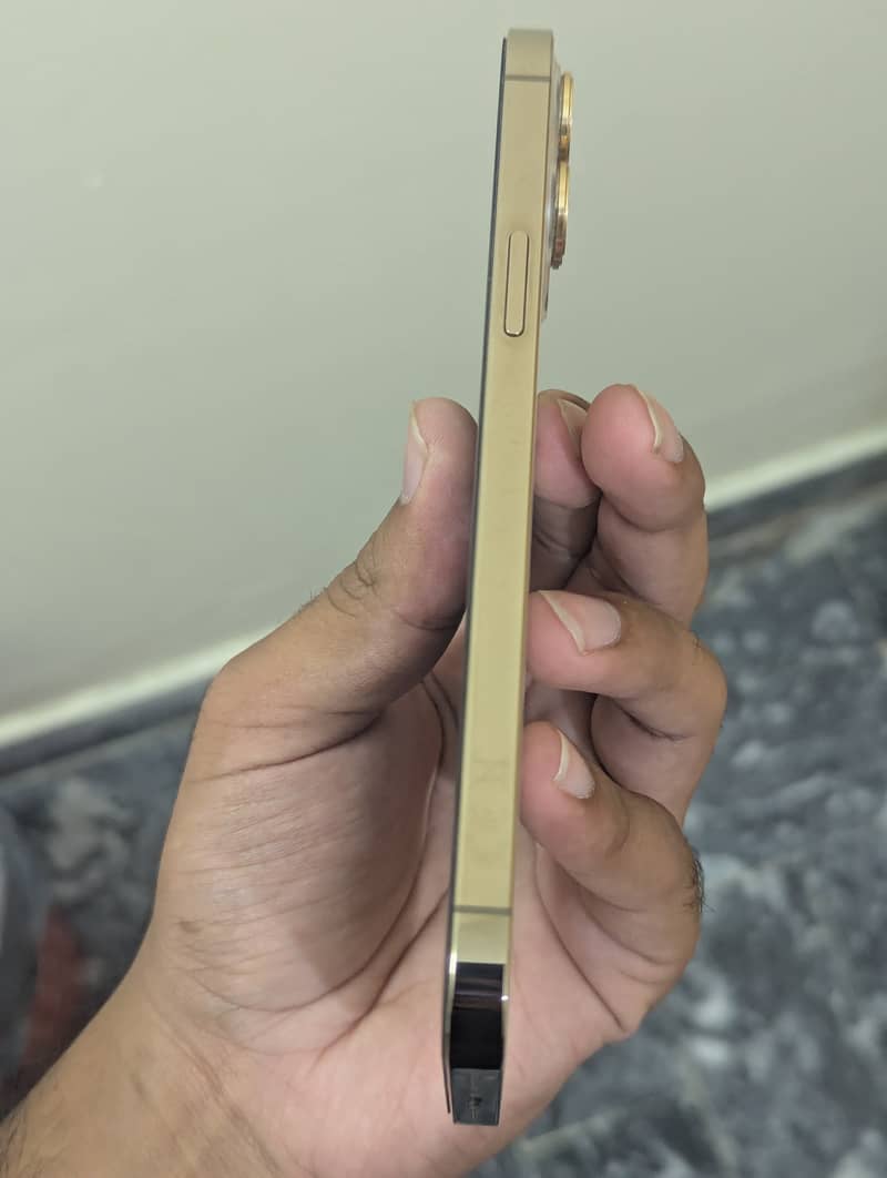 Apple iPhone 12 Pro Max 1