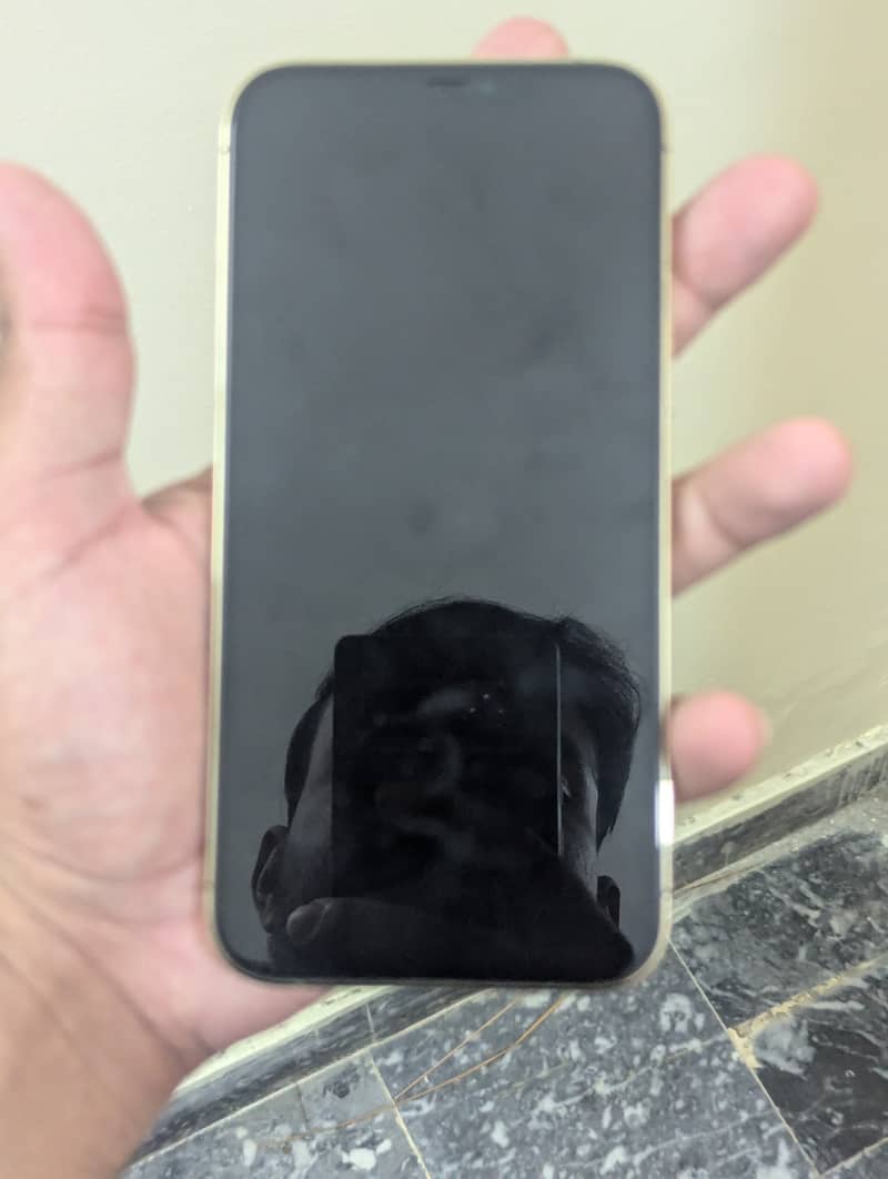 Apple iPhone 12 Pro Max 2