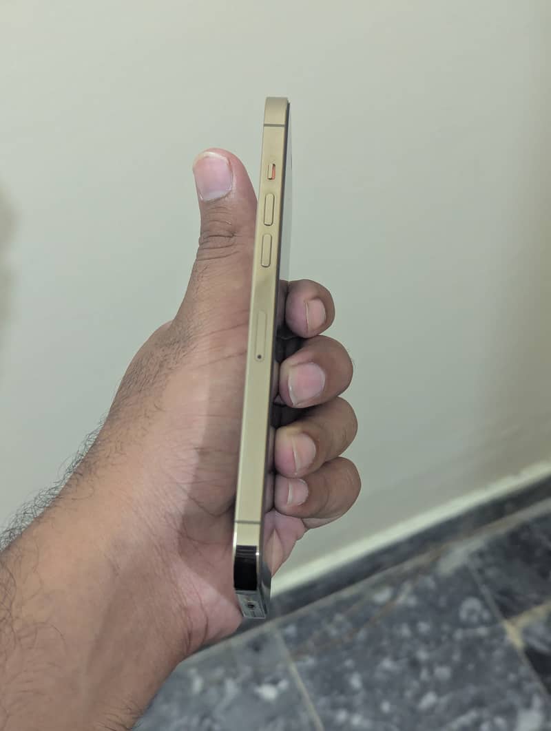 Apple iPhone 12 Pro Max 3