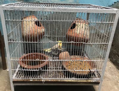 Cocktail pair for sale with cage.