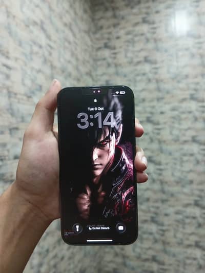 13 PRO MAX