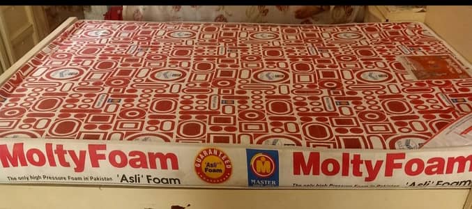 Master Molty Foam of queen size