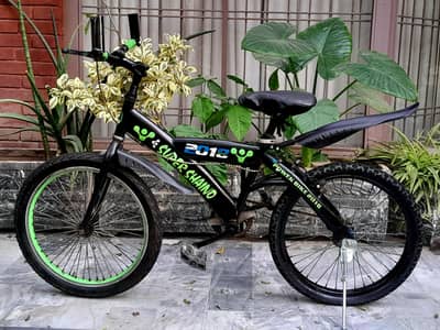 kids  bicycle