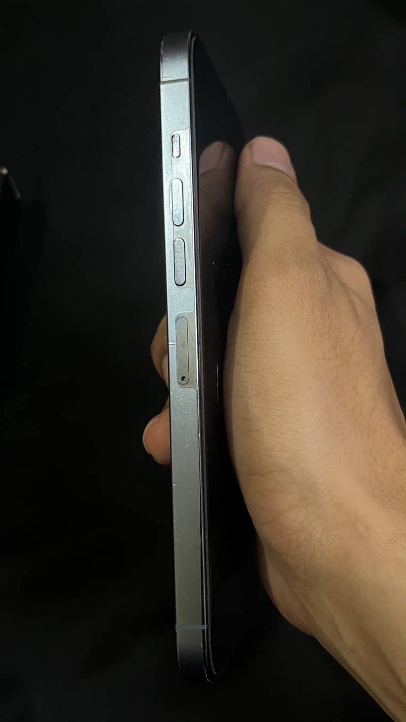 Apple iPhone 13 Pro Max 1