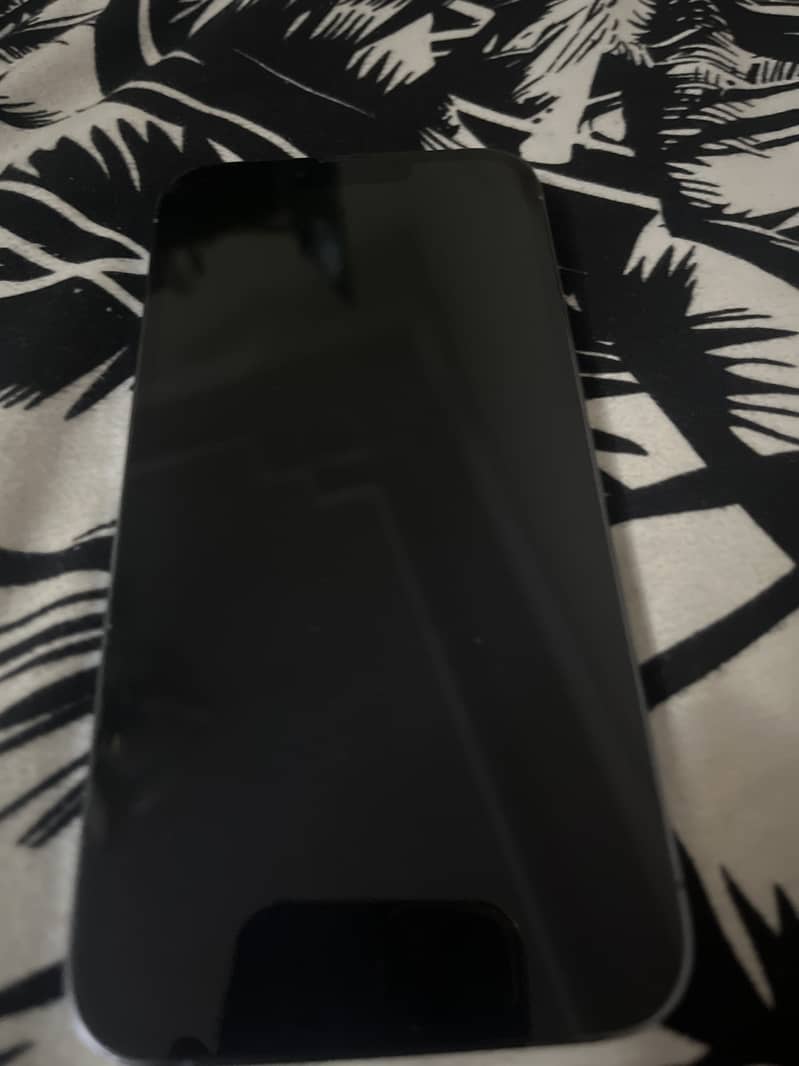 Apple iPhone 13 Pro Max 0