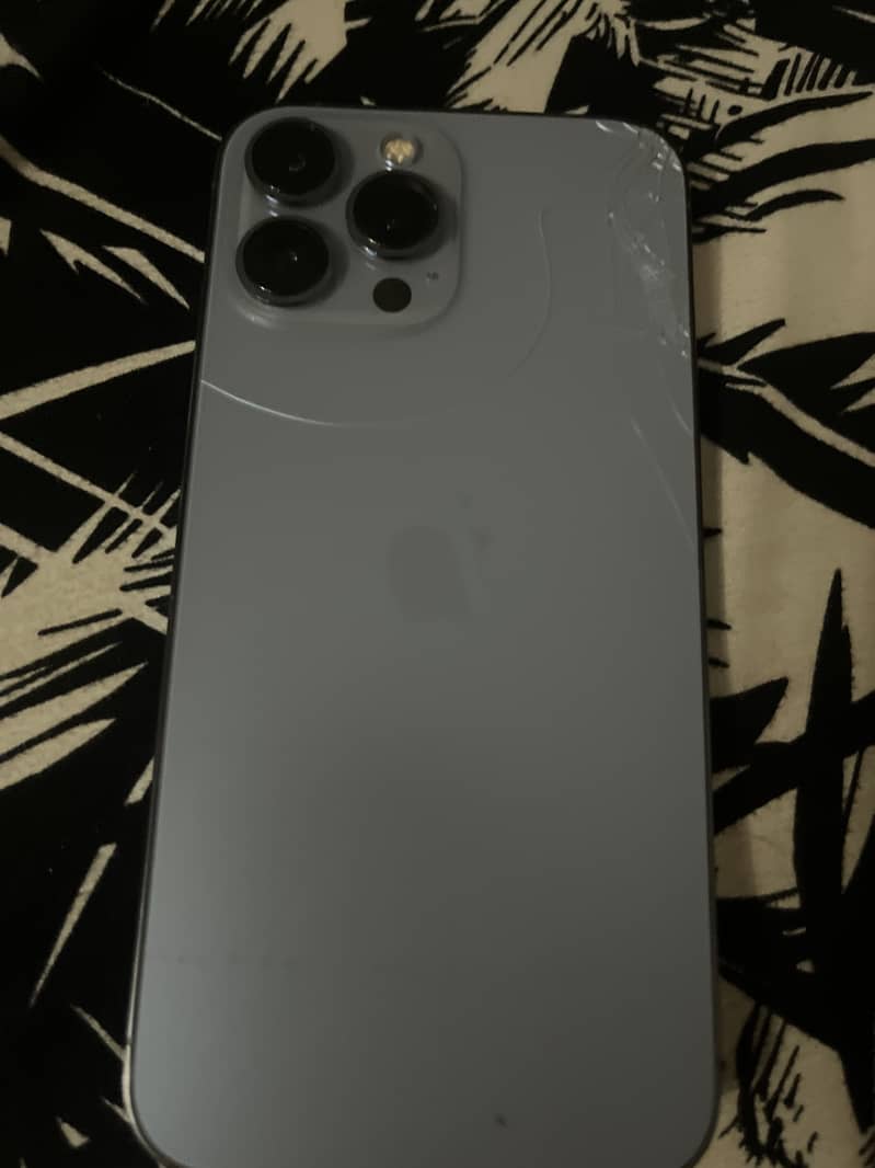 Apple iPhone 13 Pro Max 1